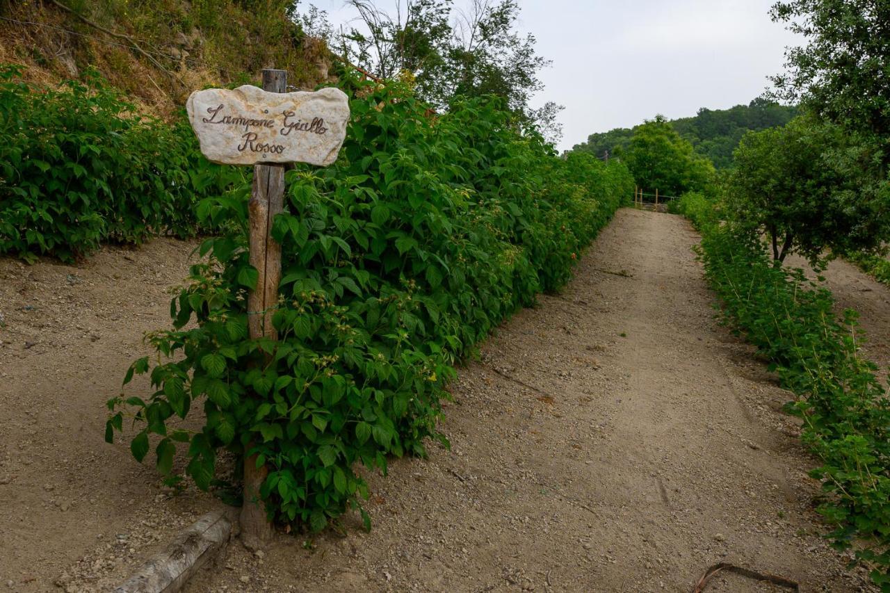 Grotte di CastroAgriturismo Le Fontane - Lago Di Bolsena别墅 外观 照片